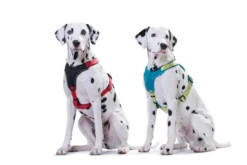 Outlet hundesele Neopren Rød XL længde 73-94 cm 2,5 cm - blød og stabil komfort Hundeseler Til Alle Behov Og Hundestørrelser