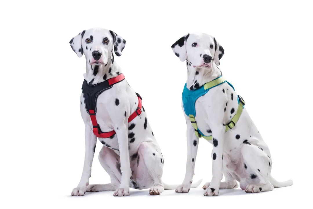 Outlet hundesele Neopren Rød XL længde 73-94 cm 2,5 cm - blød og stabil komfort Hundeseler Til Alle Behov Og Hundestørrelser