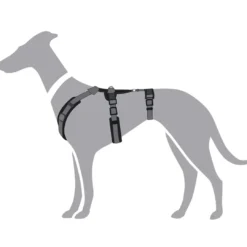 hundesele Safety Maldon Gråsort L længde 66-118 cm 2,5 cm - sikker stabilitet Hundeseler Til Alle Behov Og Hundestørrelser