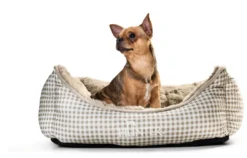 Online hundeseng Astana Medium 80x60 cm Brun Hundesenge Og Kurve Til Hunde - Bløde Og Komfortable|Sovepladser Til Hvalpe - Hundesenge, Kølemåtter Og Trygge Hvilesteder