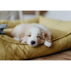 New hundeseng Eiby Small 60x40 cm Gul Hundesenge Og Kurve Til Hunde - Bløde Og Komfortable|Sovepladser Til Hvalpe - Hundesenge, Kølemåtter Og Trygge Hvilesteder