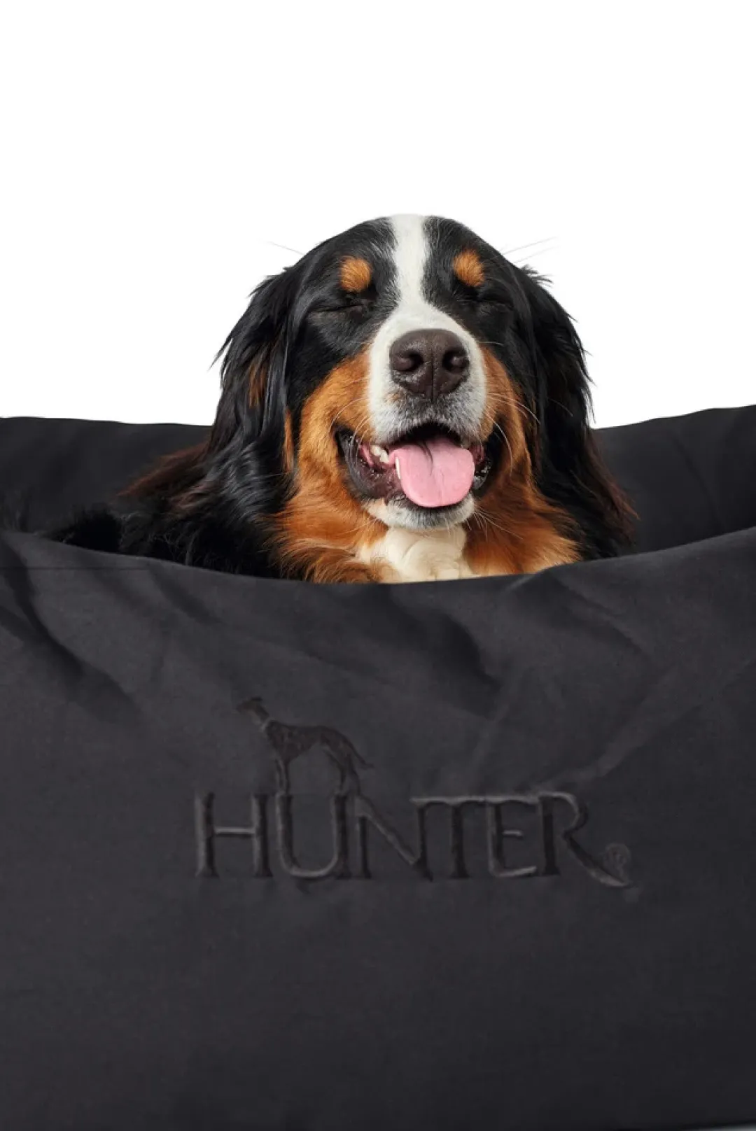 Best hundeseng Gent antibakteriel Medium 80x60 cm Sort Hundesenge Og Kurve Til Hunde - Bløde Og Komfortable|Sovepladser Til Hvalpe - Hundesenge, Kølemåtter Og Trygge Hvilesteder