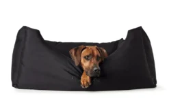 Best hundeseng Gent antibakteriel Medium 80x60 cm Sort Hundesenge Og Kurve Til Hunde - Bløde Og Komfortable|Sovepladser Til Hvalpe - Hundesenge, Kølemåtter Og Trygge Hvilesteder