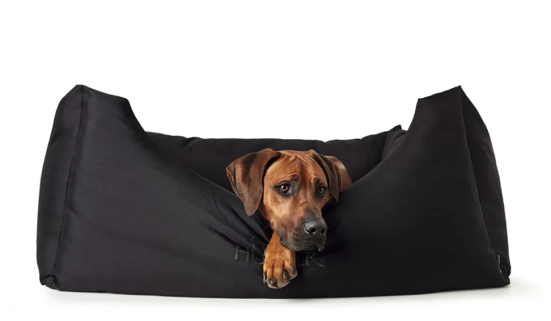 Best hundeseng Gent antibakteriel Medium 80x60 cm Sort Hundesenge Og Kurve Til Hunde - Bløde Og Komfortable|Sovepladser Til Hvalpe - Hundesenge, Kølemåtter Og Trygge Hvilesteder