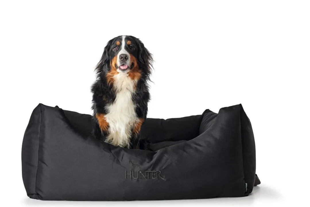 Best hundeseng Gent antibakteriel Medium 80x60 cm Sort Hundesenge Og Kurve Til Hunde - Bløde Og Komfortable|Sovepladser Til Hvalpe - Hundesenge, Kølemåtter Og Trygge Hvilesteder
