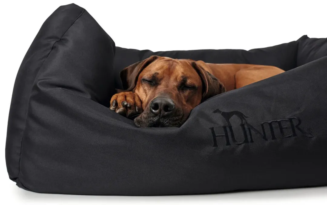 Best hundeseng Gent antibakteriel Medium 80x60 cm Sort Hundesenge Og Kurve Til Hunde - Bløde Og Komfortable|Sovepladser Til Hvalpe - Hundesenge, Kølemåtter Og Trygge Hvilesteder