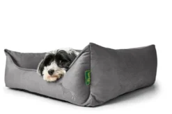 Online hundeseng Ortho Merida M 70x50 cm Antracit Hundesenge Og Kurve Til Hunde - Bløde Og Komfortable|Sovepladser Til Hvalpe - Hundesenge, Kølemåtter Og Trygge Hvilesteder