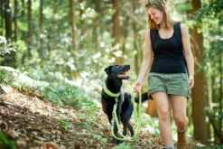 Best Hundesnor Hilo Lime 25/200 Hundesnor I Mange Varianter Og Materialer|Hundesnor Til Hvalpe