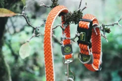 Outlet Hundesnor Hilo Orange 20/200 Hundesnor I Mange Varianter Og Materialer|Hundesnor Til Hvalpe