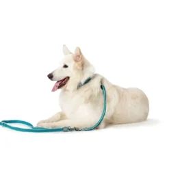 Discount Hundesnor Hilo Turkis 25/200 Hundesnor I Mange Varianter Og Materialer|Hundesnor Til Hvalpe