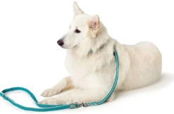 Best Hundesnor Hilo Turkis 15/200 Hundesnor I Mange Varianter Og Materialer|Hundesnor Til Hvalpe
