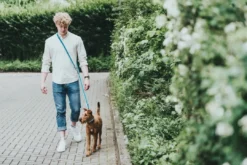 Best Hundesnor Hilo Turkis 15/200 Hundesnor I Mange Varianter Og Materialer|Hundesnor Til Hvalpe