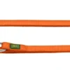 Outlet Hundesnor Nylon Orange 20/200 cm Hundesnor I Mange Varianter Og Materialer|Hundesnor Til Hvalpe