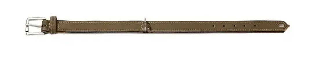 Outlet Hunting halsbånd str.65 Oliven - justerbart hundehalsbånd (50 - 56 cm., B 3,5 cm.) Hvalpehalsbånd - Bløde Og Sikre Halsbånd Med Perfekt Pasform Til Din Hvalp|Hundehalsbånd Med Stil - Komfort Og Sikkerhed Til Din Hund