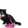 Clearance Kattesele Pink Kattehalsbånd Og Katteseler
