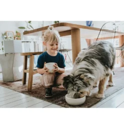 Best keramik Lund hunde skål 900 ml Beige Hundeskåle Til Mad Og Drikke Der Passer Til Din Hunds Behov|Hundeskåle Til Hvalpe - Praktisk, Sikker Og Nem Spisetid
