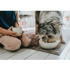 Best keramik Lund hunde skål 900 ml Beige Hundeskåle Til Mad Og Drikke Der Passer Til Din Hunds Behov|Hundeskåle Til Hvalpe - Praktisk, Sikker Og Nem Spisetid