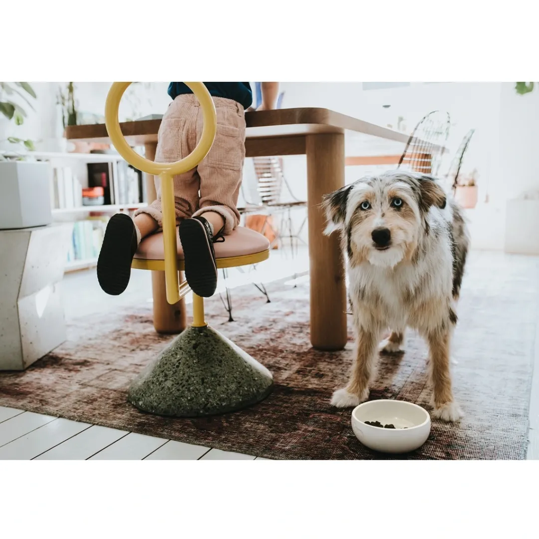 Hot keramik Lund hunde skål 1500 ml Beige Hundeskåle Til Mad Og Drikke Der Passer Til Din Hunds Behov|Hundeskåle Til Hvalpe - Praktisk, Sikker Og Nem Spisetid