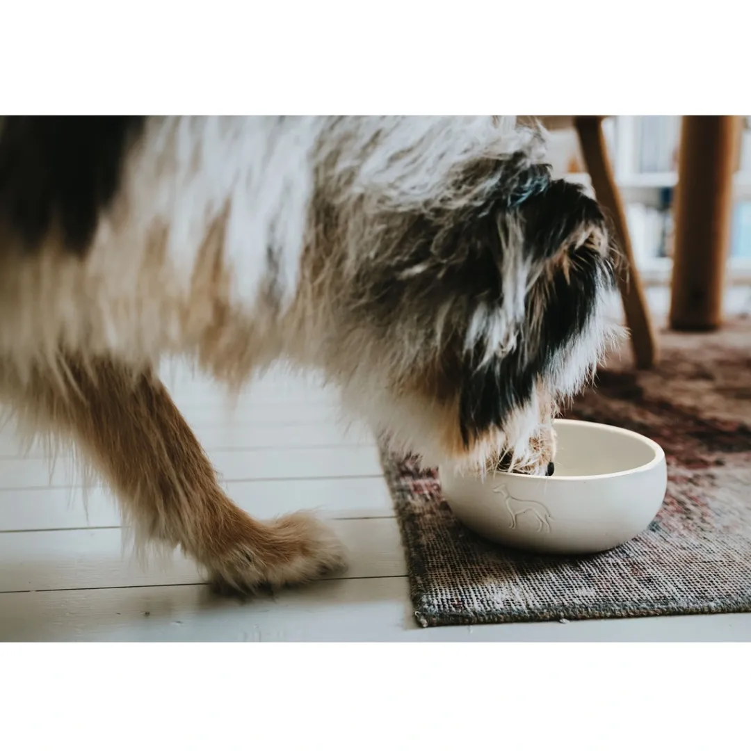 Hot keramik Lund hunde skål 1500 ml Beige Hundeskåle Til Mad Og Drikke Der Passer Til Din Hunds Behov|Hundeskåle Til Hvalpe - Praktisk, Sikker Og Nem Spisetid