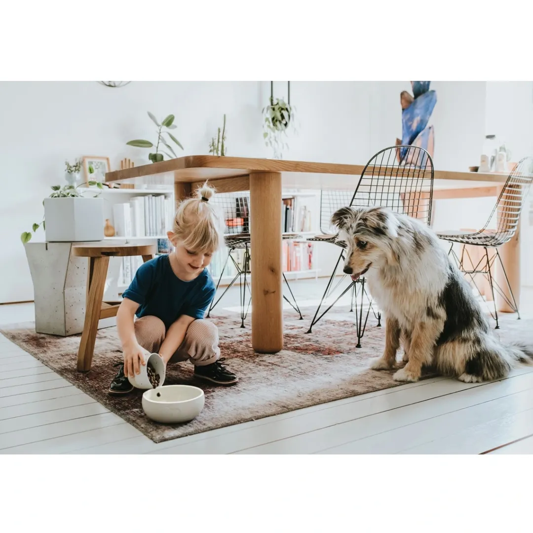Hot keramik Lund hunde skål 1500 ml Beige Hundeskåle Til Mad Og Drikke Der Passer Til Din Hunds Behov|Hundeskåle Til Hvalpe - Praktisk, Sikker Og Nem Spisetid