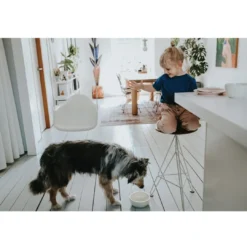 Hot keramik Lund hunde skål 1500 ml Beige Hundeskåle Til Mad Og Drikke Der Passer Til Din Hunds Behov|Hundeskåle Til Hvalpe - Praktisk, Sikker Og Nem Spisetid