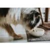 Discount keramik Lund hunde skål 550 ml Beige Hundeskåle Til Mad Og Drikke Der Passer Til Din Hunds Behov|Hundeskåle Til Hvalpe - Praktisk, Sikker Og Nem Spisetid