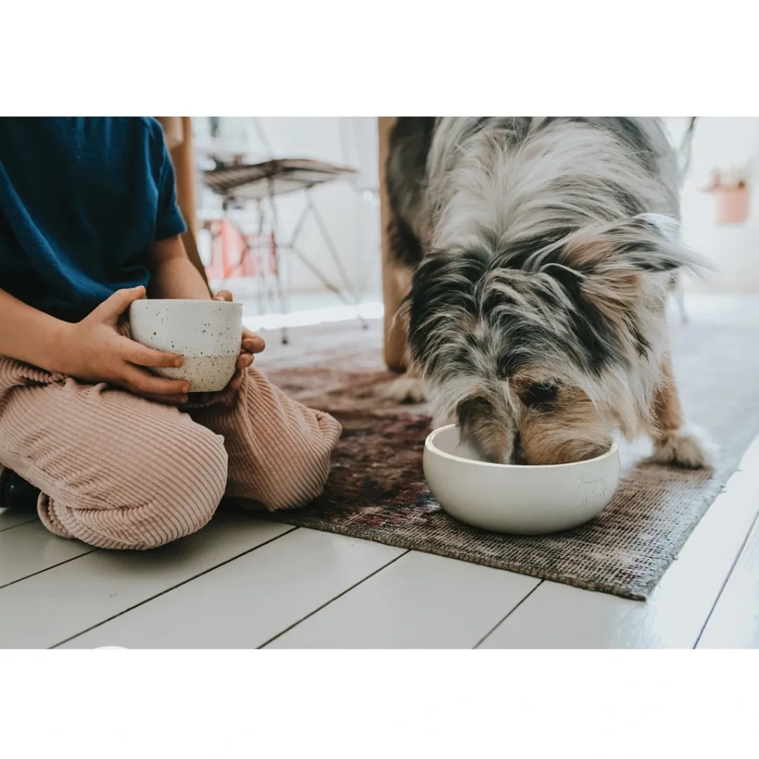 Discount keramik Lund hunde skål 550 ml Beige Hundeskåle Til Mad Og Drikke Der Passer Til Din Hunds Behov|Hundeskåle Til Hvalpe - Praktisk, Sikker Og Nem Spisetid