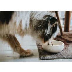 Clearance keramik Lund hunde skål 350 ml Beige Hundeskåle Til Mad Og Drikke Der Passer Til Din Hunds Behov|Hundeskåle Til Hvalpe - Praktisk, Sikker Og Nem Spisetid