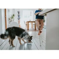 Clearance keramik Lund hunde skål 350 ml Beige Hundeskåle Til Mad Og Drikke Der Passer Til Din Hunds Behov|Hundeskåle Til Hvalpe - Praktisk, Sikker Og Nem Spisetid