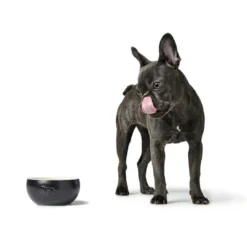 Sale Keramik Lund Hunde Skål 350 ml Sort Hundeskåle Til Mad Og Drikke Der Passer Til Din Hunds Behov|Hundeskåle Til Hvalpe - Praktisk, Sikker Og Nem Spisetid
