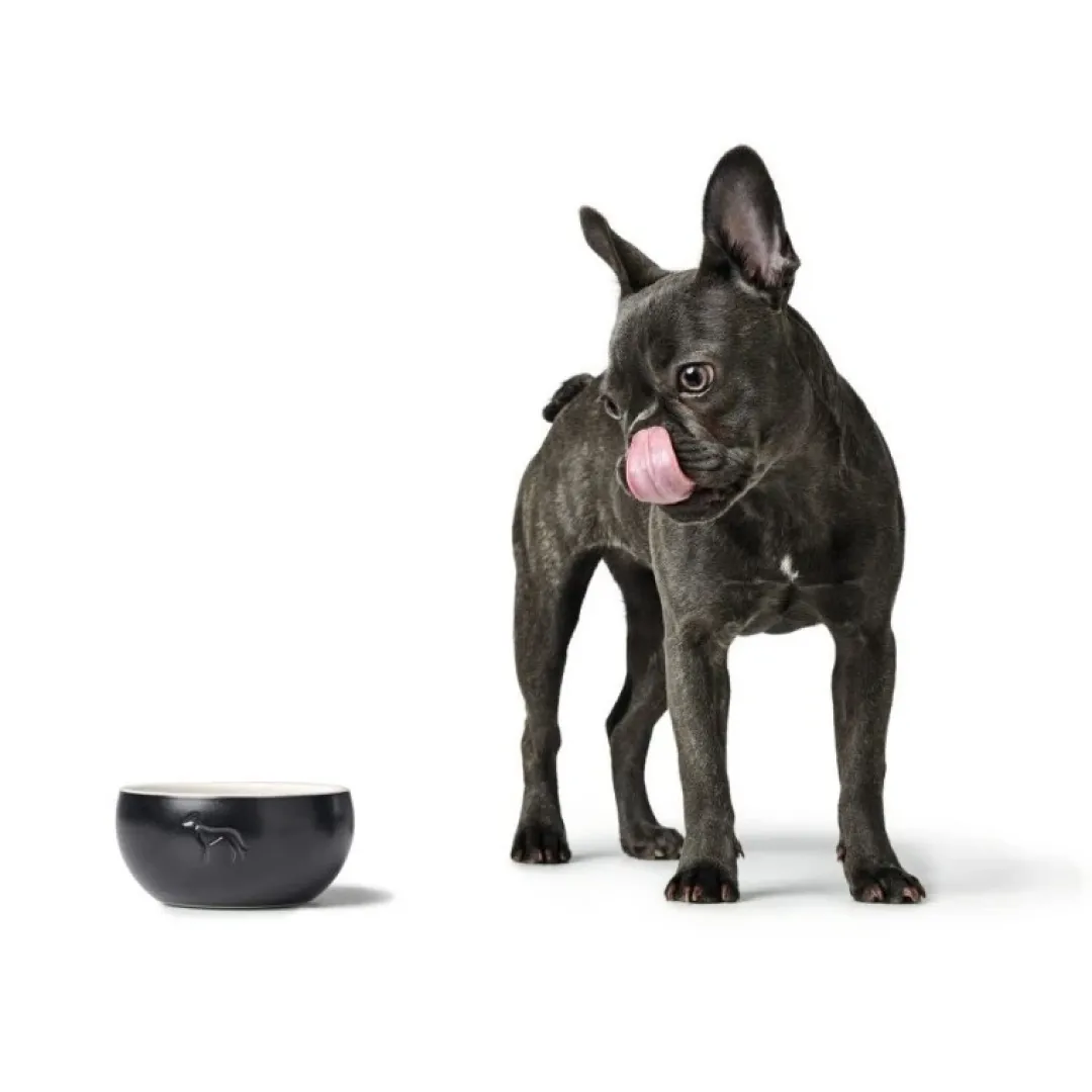 Discount Keramik Lund Hunde Skål 900 ml Sort Hundeskåle Til Mad Og Drikke Der Passer Til Din Hunds Behov|Hundeskåle Til Hvalpe - Praktisk, Sikker Og Nem Spisetid