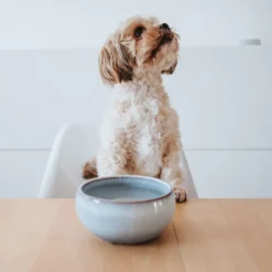 Clearance keramikskål Braga 550 ml i blåt støv Hundeskåle Til Mad Og Drikke Der Passer Til Din Hunds Behov