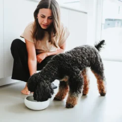 Online keramikskål Lisboa 900 ml i creme Hundeskåle Til Mad Og Drikke Der Passer Til Din Hunds Behov