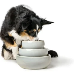 Online keramikskål Lisboa 900 ml i creme Hundeskåle Til Mad Og Drikke Der Passer Til Din Hunds Behov