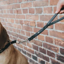 Discount Kort Hundesnor Solid Education sort Hundesnor I Mange Varianter Og Materialer|Hundesnor Til Hvalpe