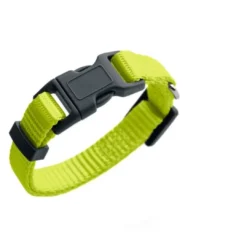 Hot London Lime XXS-XS 17-24 Hundehalsbånd Med Stil - Komfort Og Sikkerhed Til Din Hund