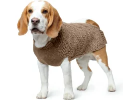 Best Malmø pullover strik beige str. 35 Hundetøj Til Hvalpe - Varme Dækkener Og Sko Til Trygge Gåture|Hundetøj Til Alle Hunde Med Varme Dækkener Og Sko