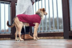 Online Malmø pullover strik bordeaux str. 40 Hundetøj Til Hvalpe - Varme Dækkener Og Sko Til Trygge Gåture|Hundetøj Til Alle Hunde Med Varme Dækkener Og Sko