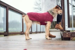 New Malmø pullover strik bordeaux str. 50 Hundetøj Til Hvalpe - Varme Dækkener Og Sko Til Trygge Gåture|Hundetøj Til Alle Hunde Med Varme Dækkener Og Sko