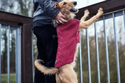 New Malmø pullover strik bordeaux str. 50 Hundetøj Til Hvalpe - Varme Dækkener Og Sko Til Trygge Gåture|Hundetøj Til Alle Hunde Med Varme Dækkener Og Sko
