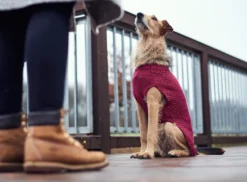 New Malmø pullover strik bordeaux str. 50 Hundetøj Til Hvalpe - Varme Dækkener Og Sko Til Trygge Gåture|Hundetøj Til Alle Hunde Med Varme Dækkener Og Sko