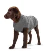 Sale Malmø pullover strik grå str. 30 Hundetøj Til Hvalpe - Varme Dækkener Og Sko Til Trygge Gåture|Hundetøj Til Alle Hunde Med Varme Dækkener Og Sko