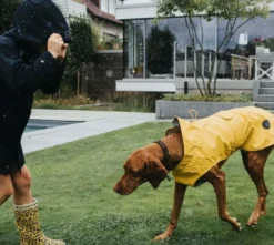 Sale Milford Regnfrakke Gul 35 cm Hundetøj Til Hvalpe - Varme Dækkener Og Sko Til Trygge Gåture|Hundetøj Til Alle Hunde Med Varme Dækkener Og Sko