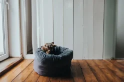 Sale Miranda donut seng M Ø 50 cm Mørkegrå Killingesenge Og Afslapningspladser - Trygge Hvilepladser Til Små Katte|Hundesenge Og Kurve Til Hunde - Bløde Og Komfortable