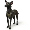 Online Mixed Aalborg læder hundesele XS-S grøn/grå hals 40-50 cm - komfort og kvalitet Hvalpeseler - Bløde Justerbare Seler Der Giver Din Hvalp Tryghed Og Støtte På Turen|Hundeseler Til Alle Behov Og Hundestørrelser