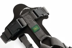 Sale Mixed Aalborg læder hundesele XS-S sort/grå hals 40-50 cm - komfort og stabil pasform Hvalpeseler - Bløde Justerbare Seler Der Giver Din Hvalp Tryghed Og Støtte På Turen|Hundeseler Til Alle Behov Og Hundestørrelser