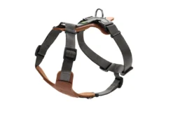 Sale Mixed Aalborg læder hundesele XS-S cognac/grå hals 40-50 cm - blød og sikker pasform Hvalpeseler - Bløde Justerbare Seler Der Giver Din Hvalp Tryghed Og Støtte På Turen|Hundeseler Til Alle Behov Og Hundestørrelser