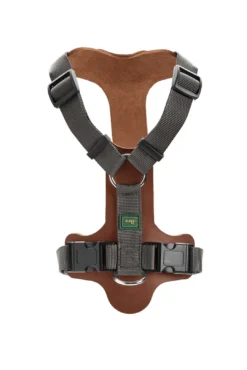 Sale Mixed Aalborg læder hundesele XS-S cognac/grå hals 40-50 cm - blød og sikker pasform Hvalpeseler - Bløde Justerbare Seler Der Giver Din Hvalp Tryghed Og Støtte På Turen|Hundeseler Til Alle Behov Og Hundestørrelser