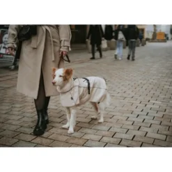 Discount Nordby hundefrakke str 35 creme Hundetøj Til Alle Hunde Med Varme Dækkener Og Sko