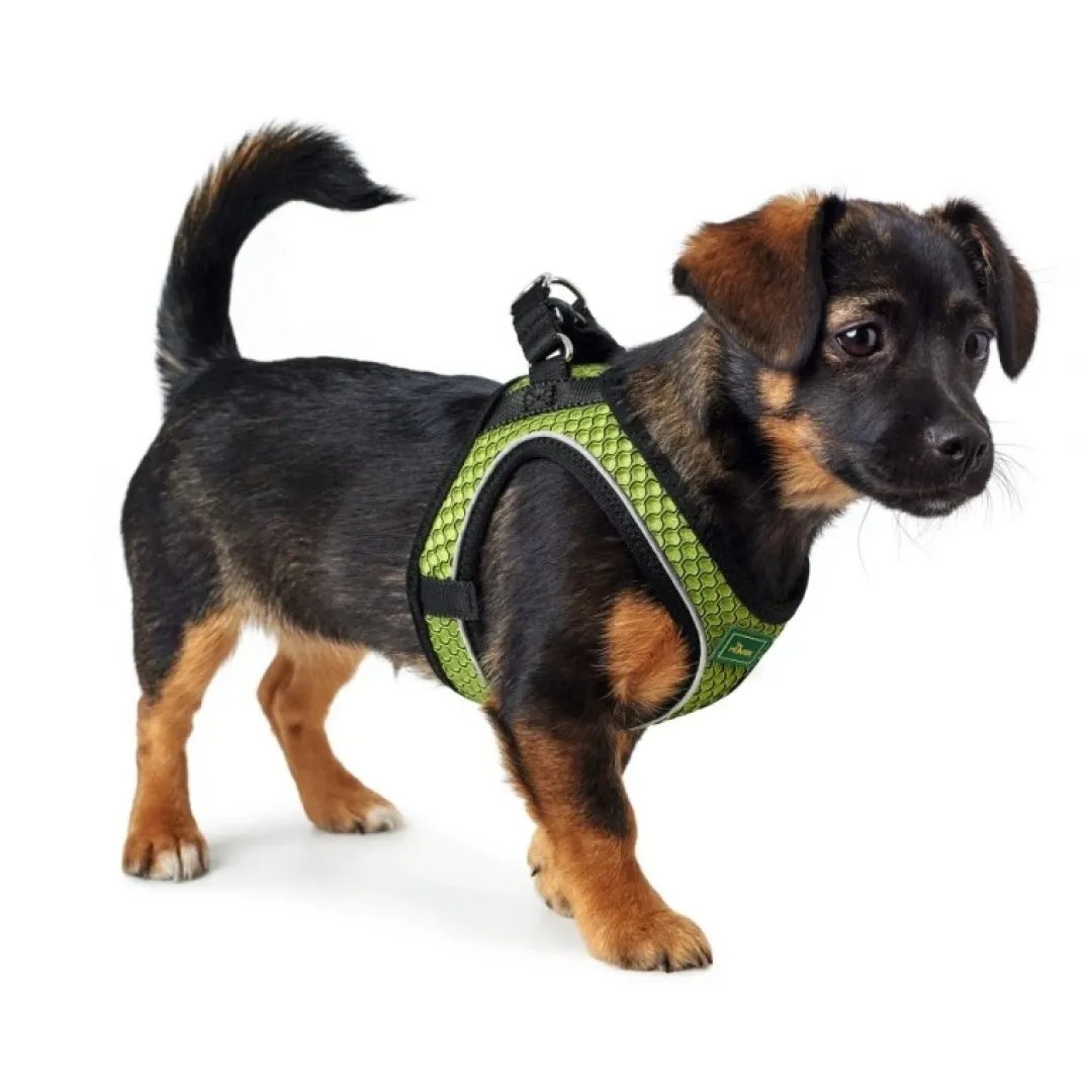 Clearance NY Hilo Comfort hundesele XS lime mave/bryst 36-40 cm - Let komfort og fri bevægelse Hvalpeseler - Bløde Justerbare Seler Der Giver Din Hvalp Tryghed Og Støtte På Turen|Hundeseler Til Alle Behov Og Hundestørrelser